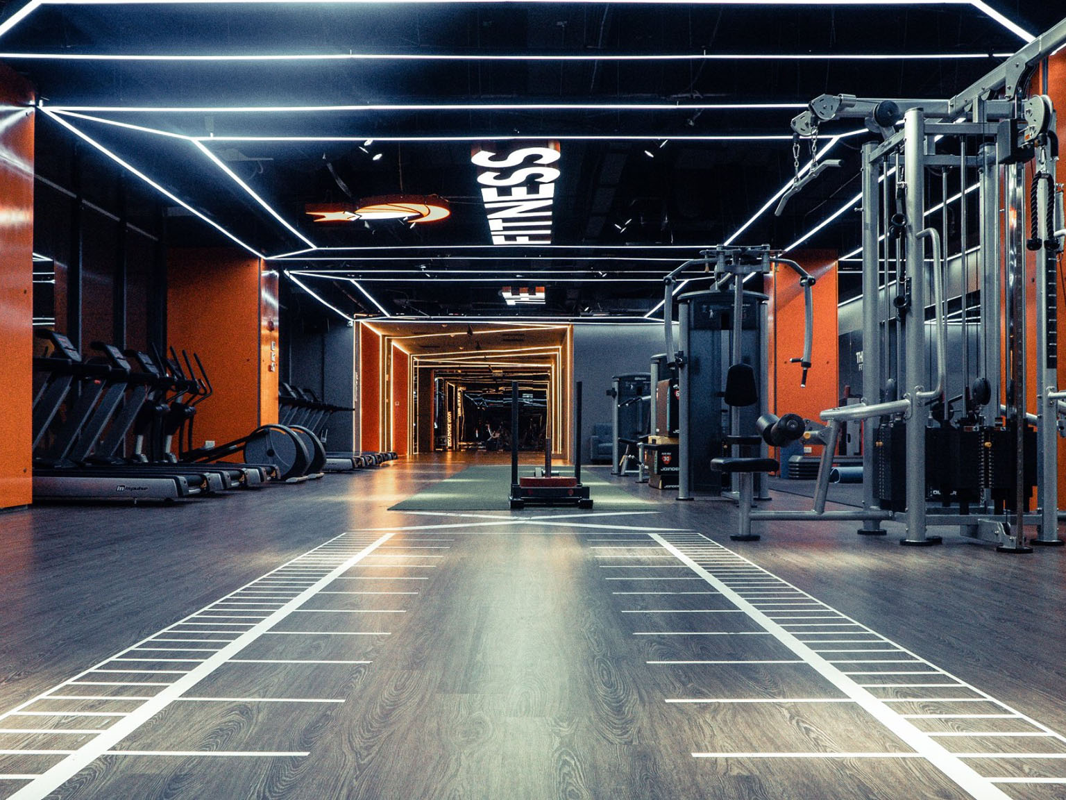 THE FOX FITNESS
